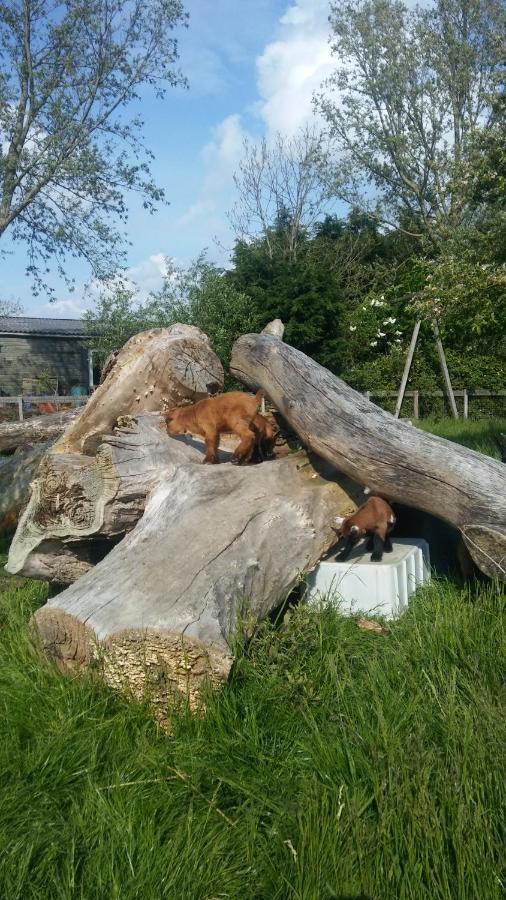 Boerenskuur De Bedstee Groen Assendelft Luaran gambar