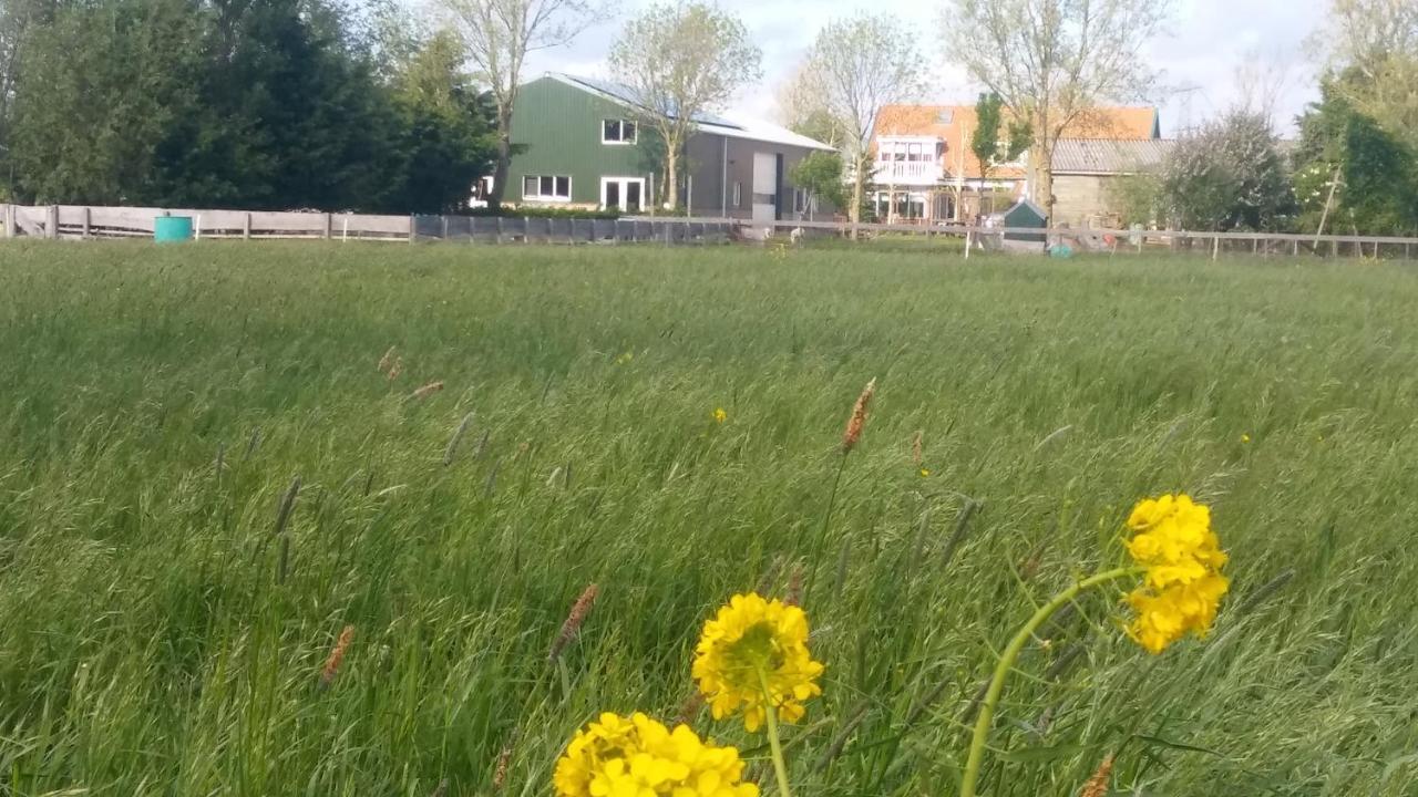 Boerenskuur De Bedstee Groen Assendelft Luaran gambar
