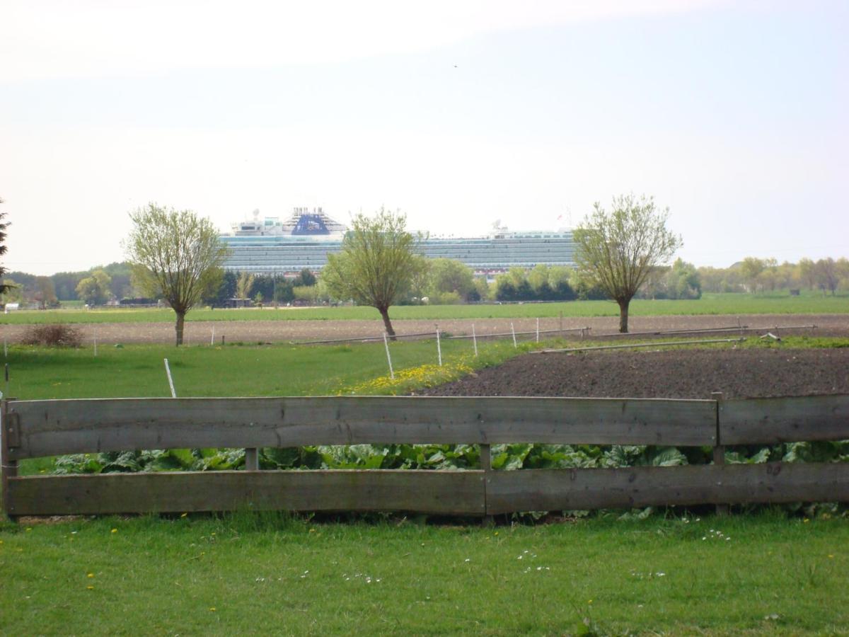 Boerenskuur De Bedstee Groen Assendelft Luaran gambar